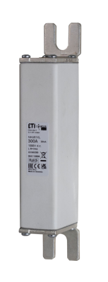 Charger fuse NH