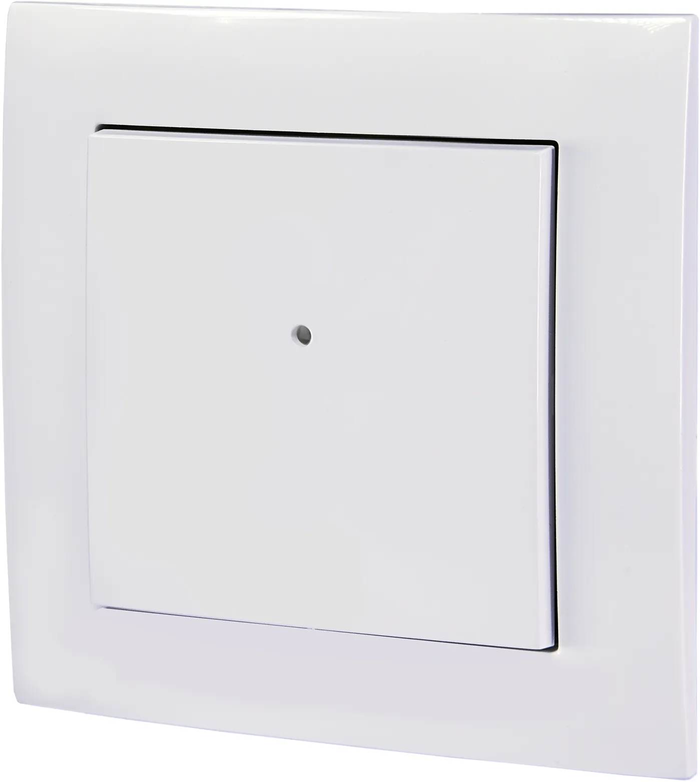 RF raidītājs * BU-WS2 002471877