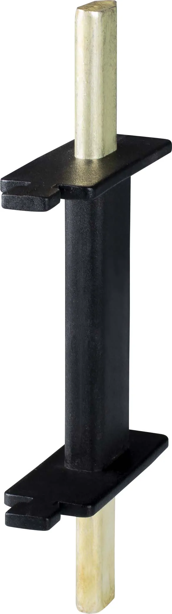 Nazis NVLI 0 004941221