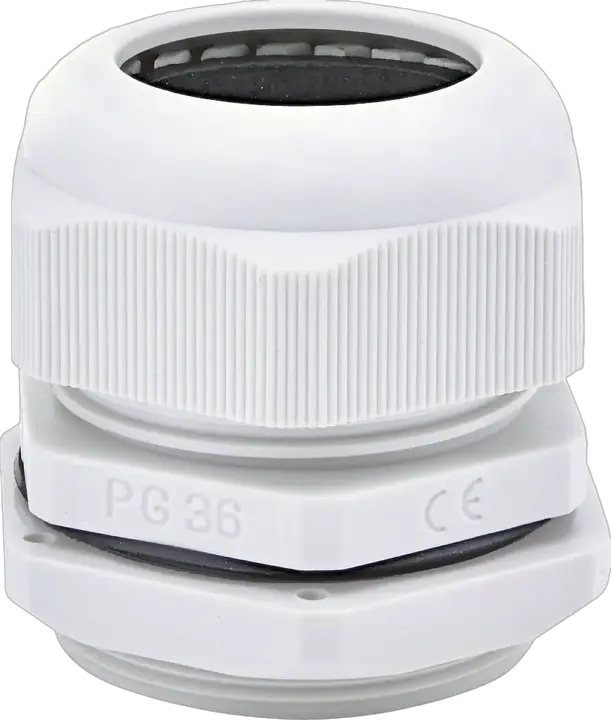 Attēls no PG-36