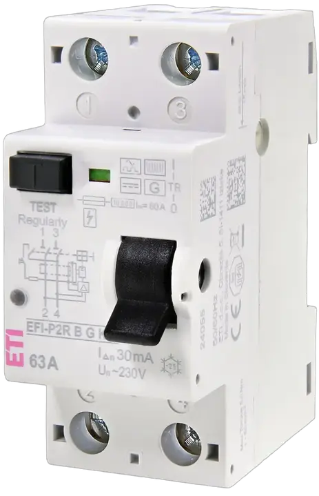 Attēls no EFI-P2R B G/KV 25/0.03