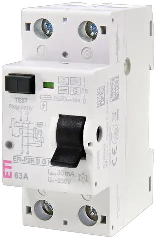 Attēls no EFI-P2R B G/KV 80/0.03