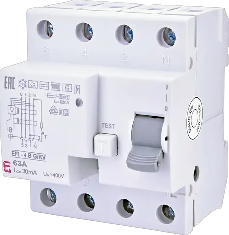 EFI-4 B G/KV 63/0.03