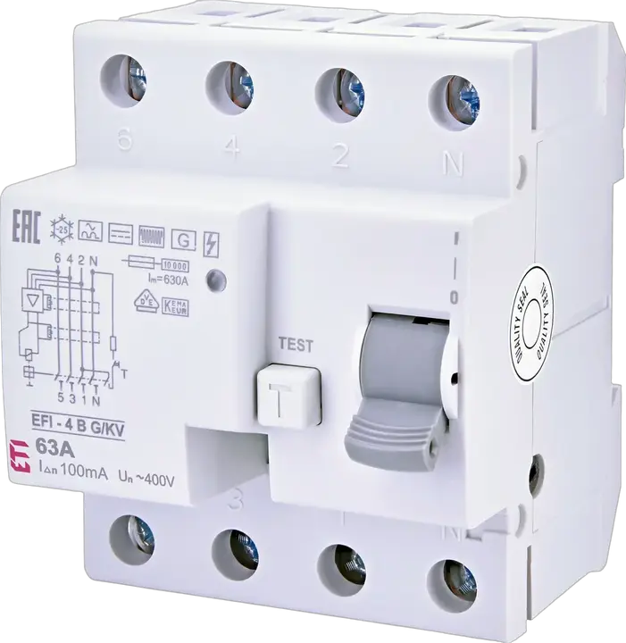 Attēls no EFI-4 B G/KV 63/0.1