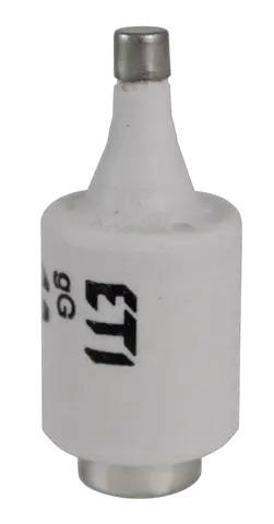DII DZ/gF 2A/500V