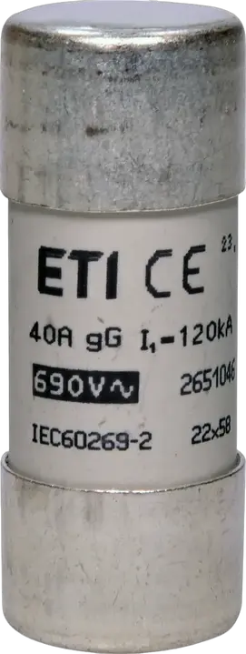 Attēls no CH22x58 gG 40A/690V