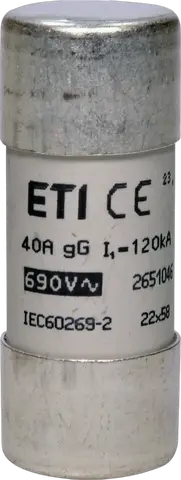 CH22x58 gG 40A/690V