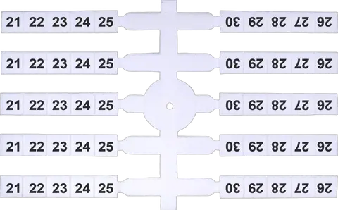 Attēls no EO3 21-30 (x200)