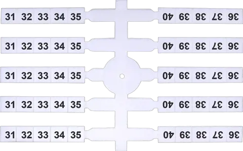 Attēls no EO3 31-40 (x200)