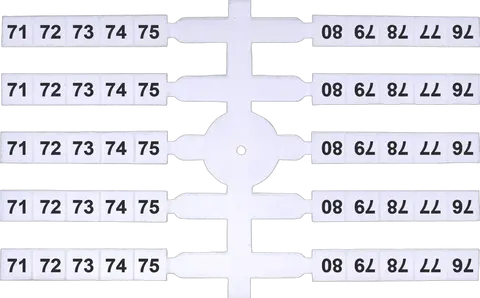 Attēls no EO3 71-80 (x200)