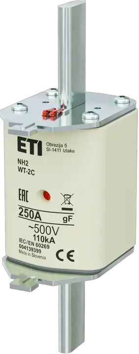 Attēls no NH2C gF 250A/500V