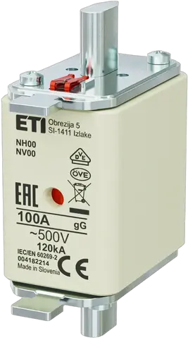 NH00 gG 100A/500V