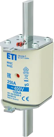 NH2C gG 250A/400V