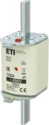 NH2C gG 100A/690V