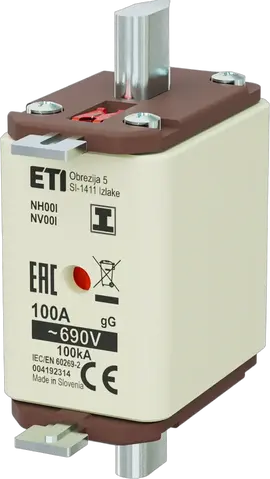 NH00/I gG 100A/690V