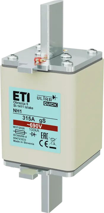 Attēls no *NH1 gS 250A/690V