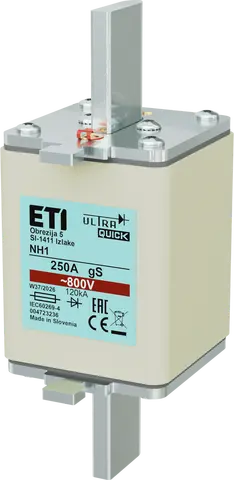 *NH1 gS 250A/800V