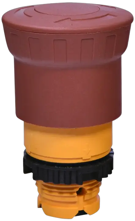 Attēls no NSE-PBM-T-R