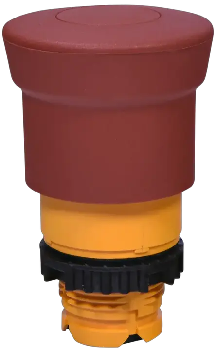Attēls no NSE-PBM-P-R