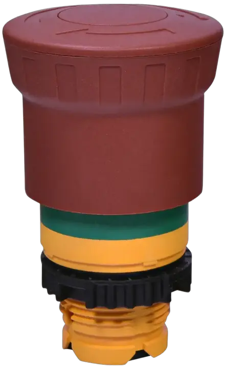 Attēls no NSE-PBM-T-RG