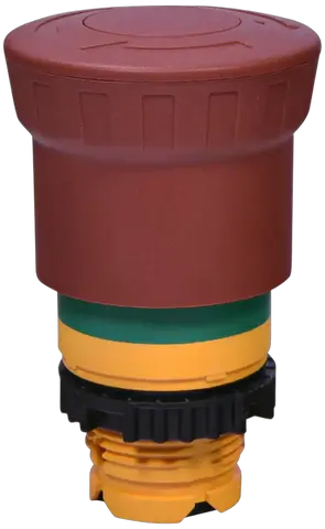 NSE-PBM-T-RG