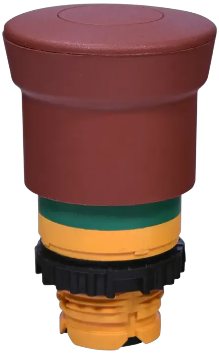 Attēls no NSE-PBM-P-RG