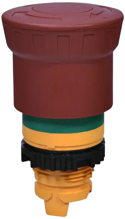 Attēls no NSE-PBM-T-RGM