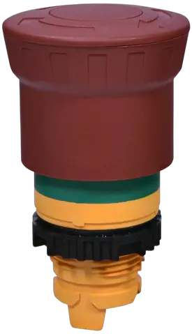 NSE-PBM-T-RGM