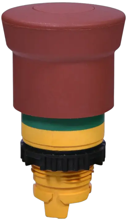 Attēls no NSE-PBM-P-RGM