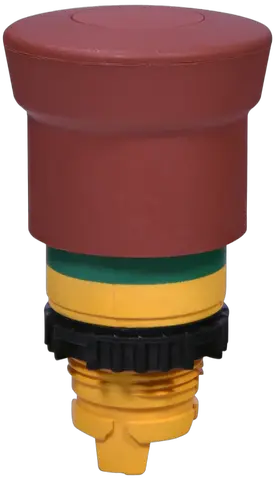NSE-PBM-P-RGM