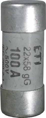 Attēls no CH22x58/P gG 8A/690V
